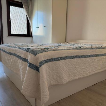 ניופורט Windjammer 601 מראה חיצוני תמונה
