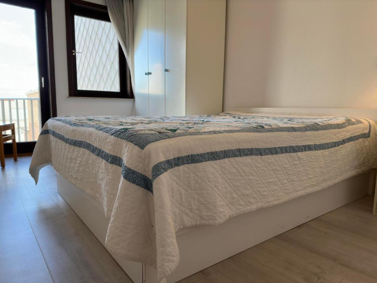 ניופורט Windjammer 601 מראה חיצוני תמונה